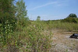 Immobile in asta di 3585 m² a Pozzo d'Adda