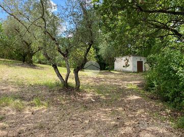 CASA INDIPENDENTE A PALOMBARA SABINA