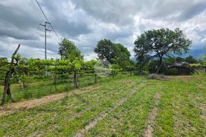 TER. RESIDENZIALE A MONTESARCHIO