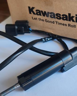 cambio Quick shift Kawasaki 