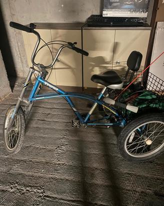 bicicletta a 3 ruote 