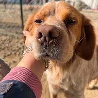 Argo: buono, dolce, equilibrato