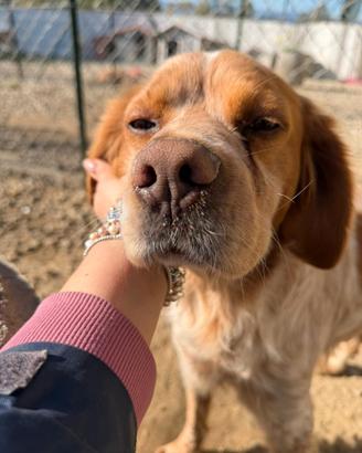 Argo: buono, dolce, equilibrato