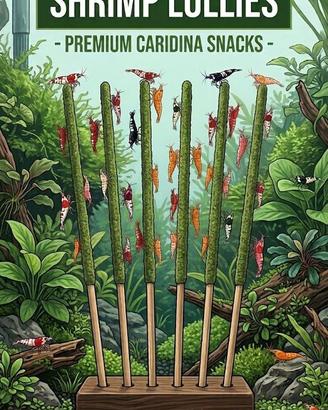 Lollipop per Caridine 6 pz+15 pignette di ontano