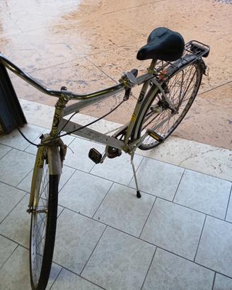 bicicletta da uomo 
