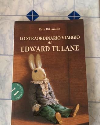 LO STRAORDINARIO VIAGGIO di EDWARD TULANE