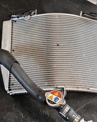 Radiatore CBR 600 