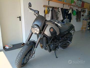 Benelli leoncino