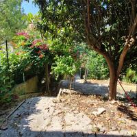 V004007 - UN ANGOLO DI PARADISO IN PIENO CENTRO