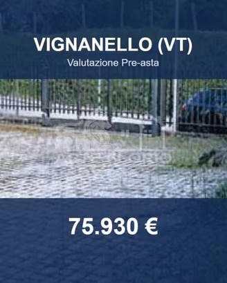 Immobile in asta di 256 m² a Vignanello
