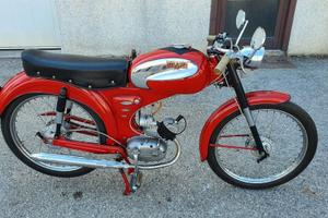 Bianchi Falco 50 Sport 3v