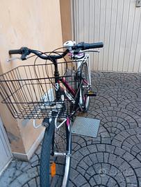 Bici da città