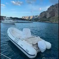 Predator 540 gommone