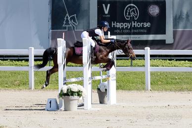 Venduta - Pony salto ostacoli