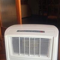 Pinguino Argo bianco, aria condizionata