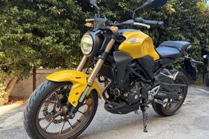 Honda CB300R immatricolata a febbraio 2025,
