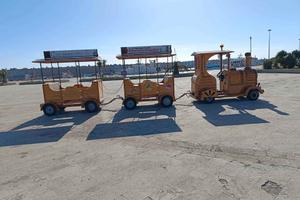 Trenino TURISTICO elettrico