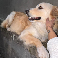 Una bella casa per Aron