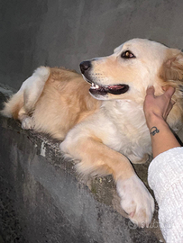 Una bella casa per Aron