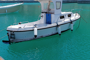 Gozzo alalunga metri 6 con motore entrobordo diese