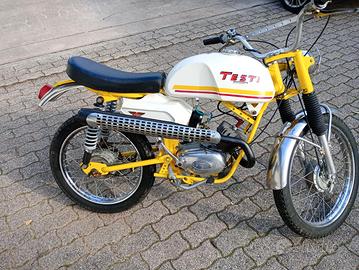 raro testi trial king