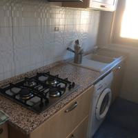 Primo piano a 100 m dal mare