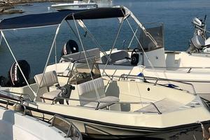 Barca a motore 40cv