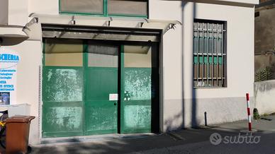 portone in alluminio