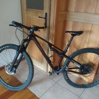 MTB CUBE AMS ONE11 C:68X Pro29 carbonio