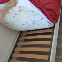 Struttura letto singolo