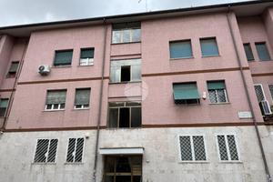 4 LOCALI A ROMA
