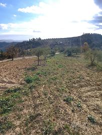 Terreno + casa