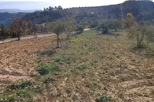 Terreno + casa