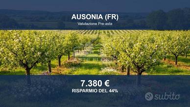 Immobile in asta di 8749 m² a Ausonia