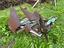Immagine 2