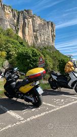 Tmax 500 