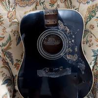 Eko Body chitarra modello E20