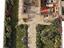 Immagine 7