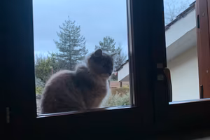 Villa in venfita a Villa Claudia Anzio