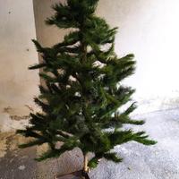 Albero Natale