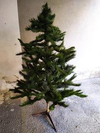 Albero Natale