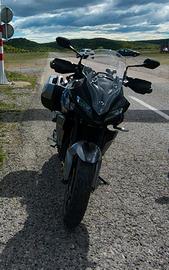 Triumph Tiger Sport 660
