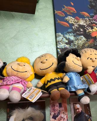 Peluche