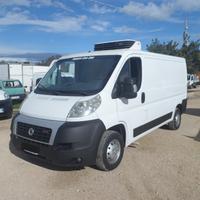 Fiat Ducato furgone frigo coibentato