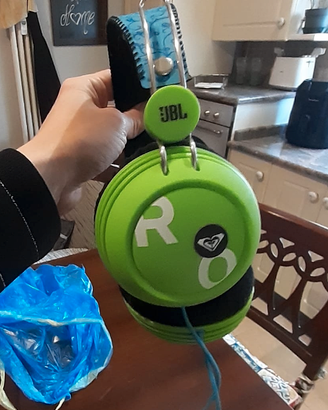 Cuffia JBL ROXY Reference 430