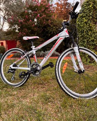 Bicicletta ragazzi 7-12 anni (ruota 24 pollici)