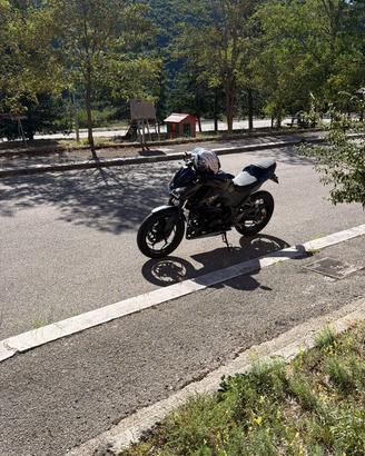 Kawasaki Z300