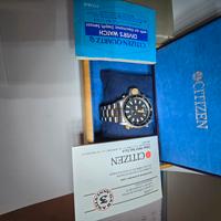 citizen Aqualand  6 viti  dual tone 1987