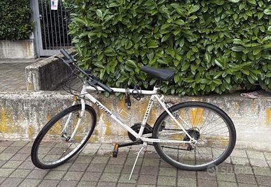 Mountain bike Lerliani