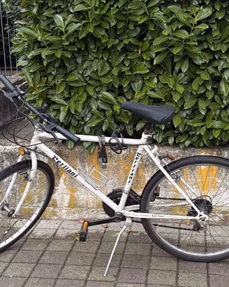 Mountain bike Lerliani